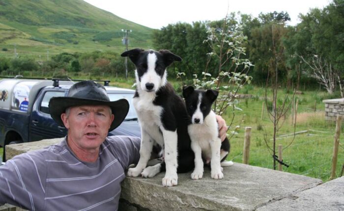 A man wearing a hat poses next to two black and white puppies sitting on a stone wall, enjoying the grassy, hilly landscape—a perfect snapshot from a 12 Day Ireland adventure.