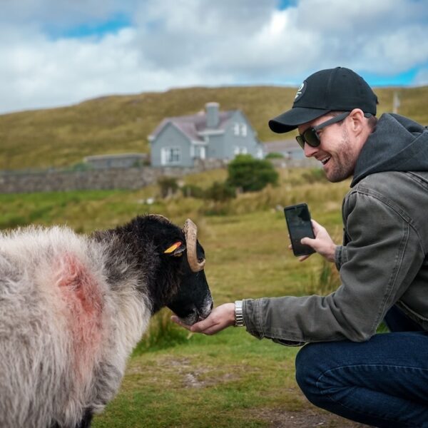 A man in sunglasses kneels and feeds a sheep in a grassy field with a house and hills behind—capturing the charm often found on Ireland West tours—while holding his smartphone.