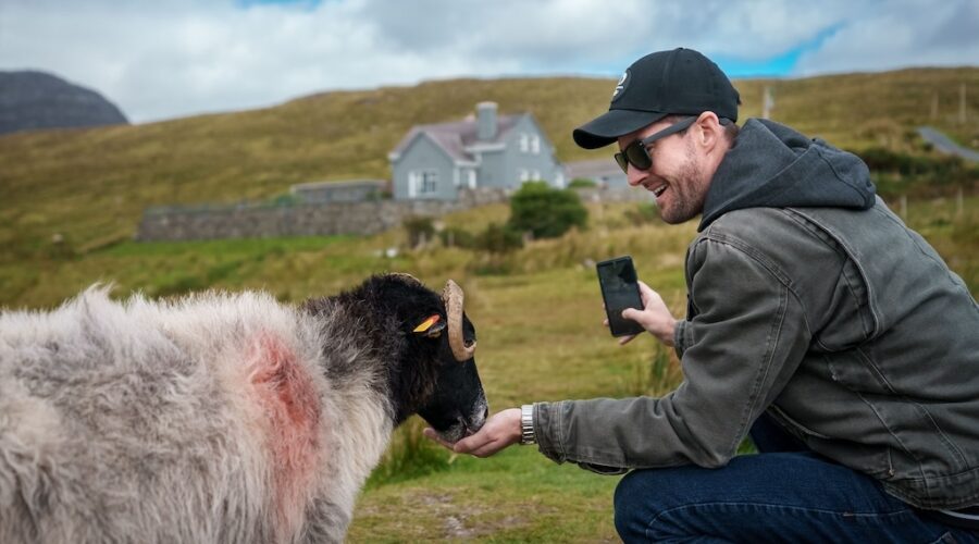 A man in sunglasses kneels and feeds a sheep in a grassy field with a house and hills behind—capturing the charm often found on Ireland West tours—while holding his smartphone. A man in sunglasses kneels and feeds a sheep in a grassy field with a house and hills behind—capturing the charm often found on Ireland West tours—while holding his smartphone.