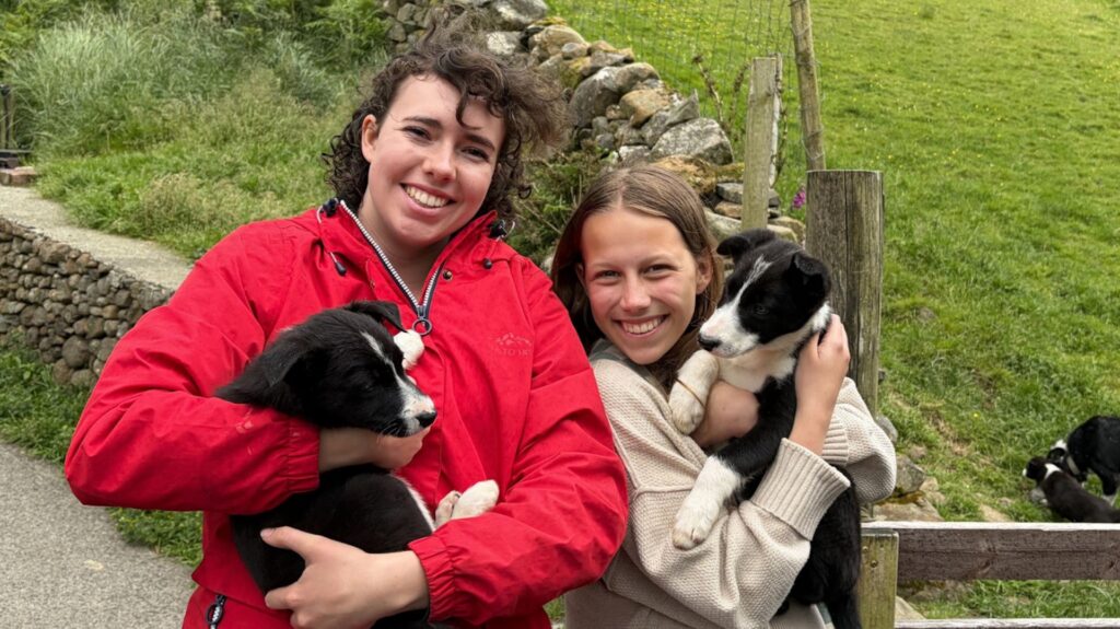 Two people stand outdoors holding black and white puppies, smiling at the camera with the rugged beauty of Connemara in the background, featuring a stone wall and a grassy area reminiscent of scenes from a Galway day tour.
