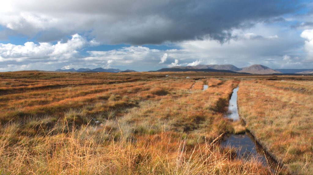Expansive Connemara moorland with orange-brown grasses and a narrow water channel under a cloudy sky, mountains visible in the distance—an iconic landscape often explored during a Galway day tour.